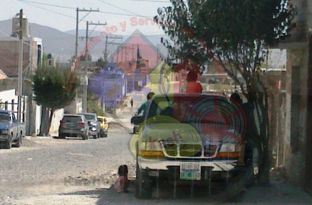 EL ADULTO ESTA RECARGADO EN EL ARBOL PLATICANDO.